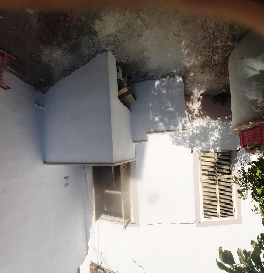 Whole Holiday Home Apartment Lovely Civitavecchia Da Pamino & Priscilla Ngoại thất bức ảnh